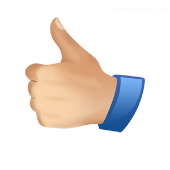 Правильный выбор для нетбука Правильный выбор для нетбука